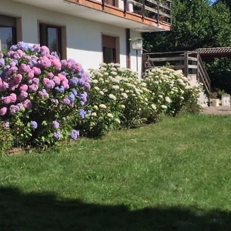 Villa Immersa Nel Verde A Ланцо-д'Інтельві Екстер'єр фото