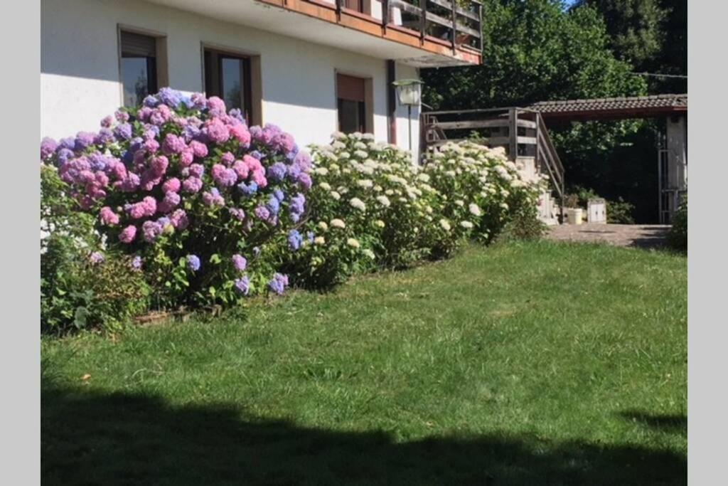 Villa Immersa Nel Verde A Ланцо-д'Інтельві Екстер'єр фото